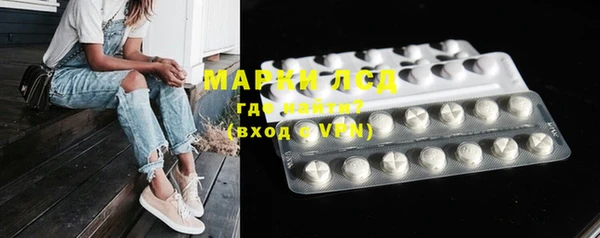 шишки Арсеньев