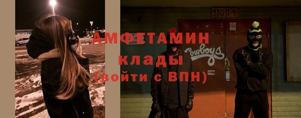 индика Аркадак