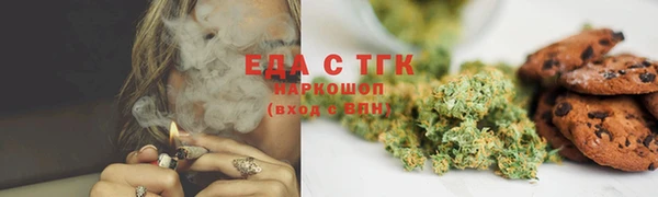 индика Аркадак