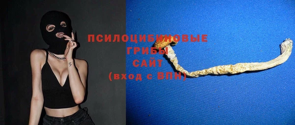 крисы Нижний Тагил
