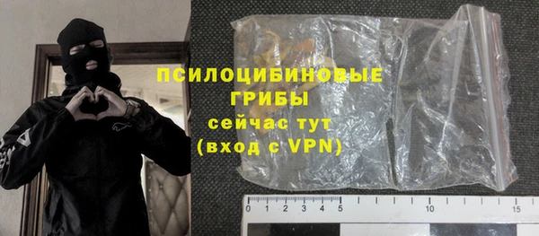 шишки Арсеньев