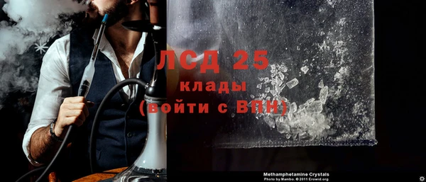 шишки Арсеньев