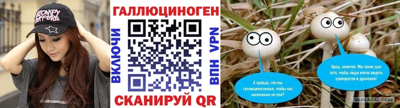 Псилоцибиновые грибы Psilocybine cubensis  Купить где  Белинский 