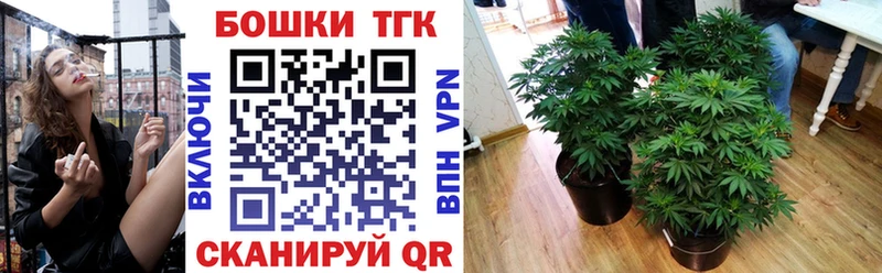 Каннабис планчик  Купить  Белинский 