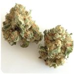 Шишки "White Widow"  (Белая вдова)  Гидропоника -  Бошка VHQ в Белинском